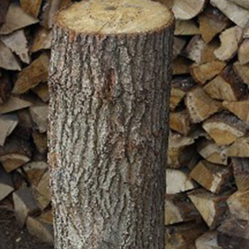 Brennholzhandel Doege - Hauklotz