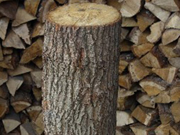 Brennholz Doege - Hauklotz