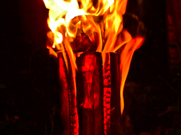 Brennholz Doege - Schwedenfeuer